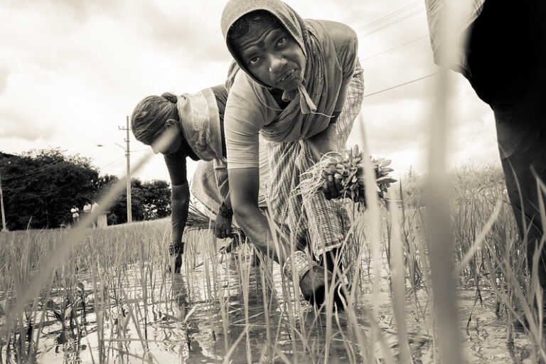 Reporting on a altering agricultural panorama