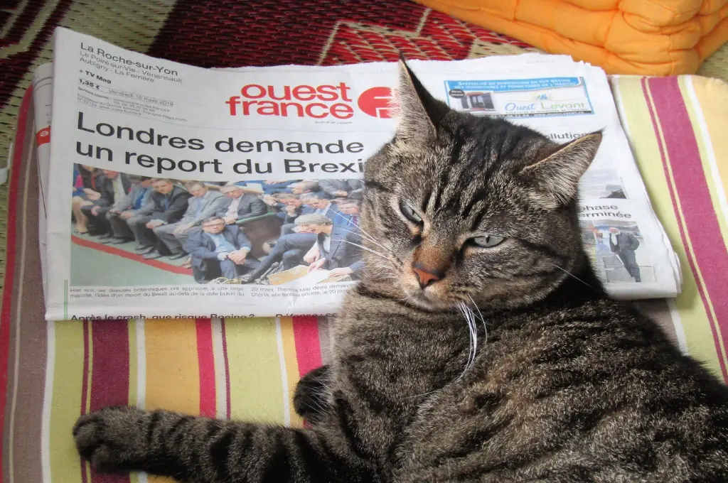 From journalism to the social sector | Nonprofit humour