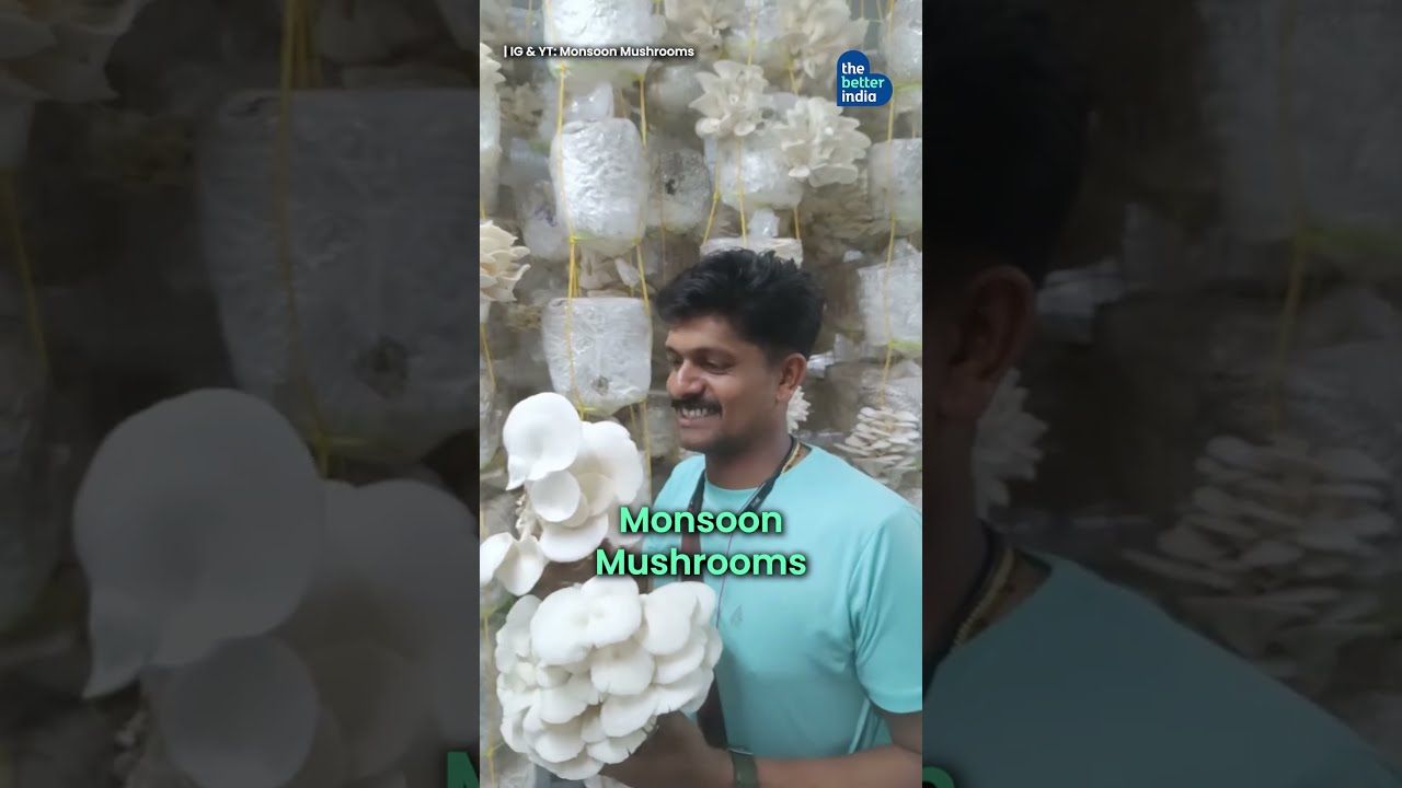 'Mushrooms In a Room' To Incomes Rs 2 Cr