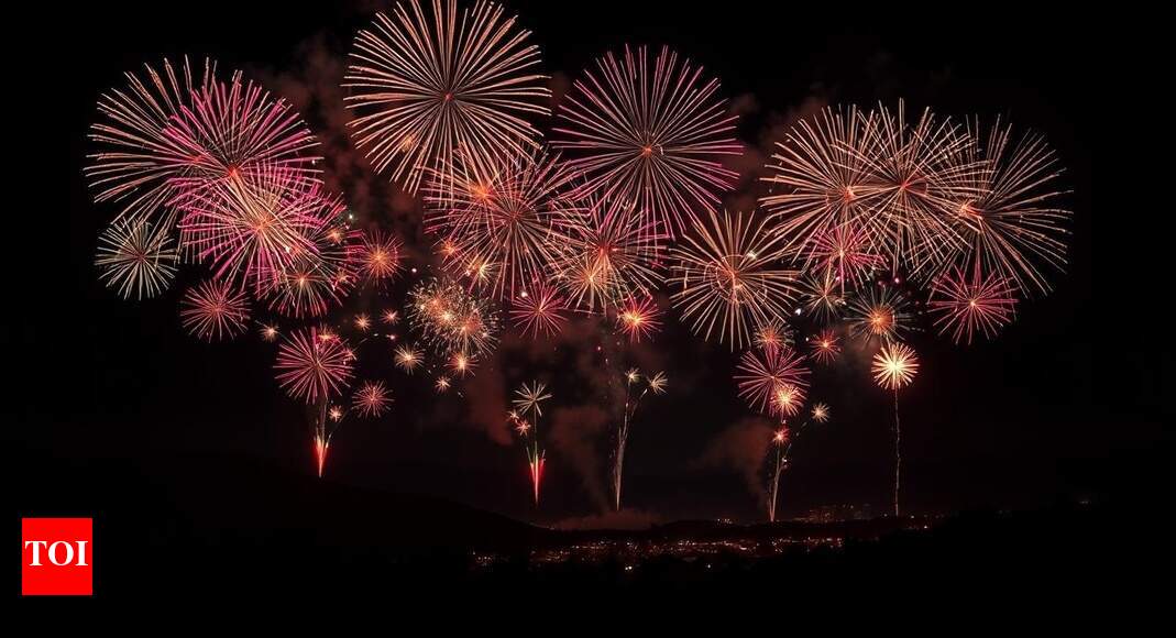 ‘Why Hindu Canadians requested to dim gentle’: Outrage over Mississauga’s proposed fireworks ban forward of Diwali