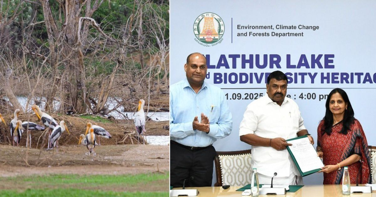 Elathur Lake Declared Tamil Nadu’s Third Biodiversity Heritage Website