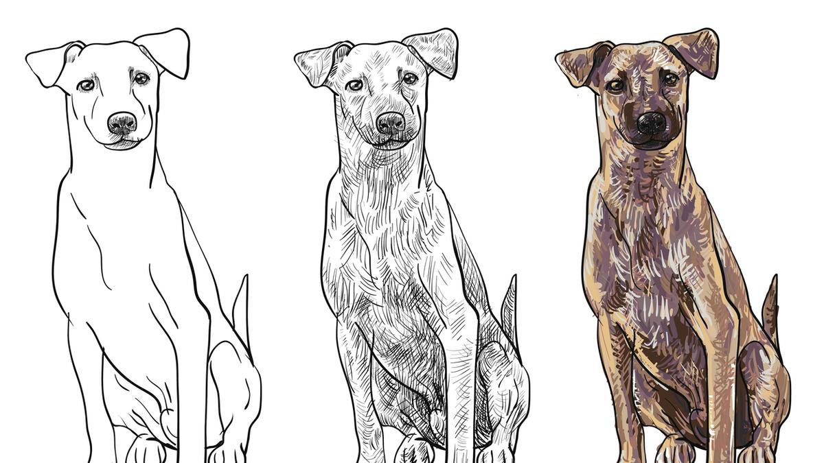 Satire | When you stray into canine land