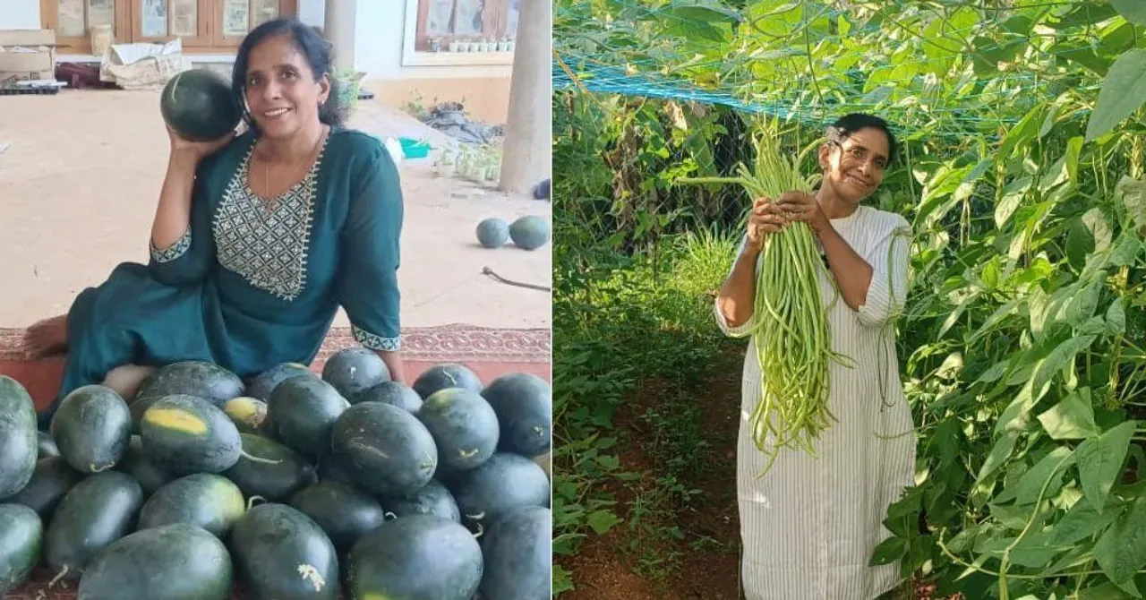 KS Sheeja Builds Natural Farm in Kerala With Bees, Bananas & 200+ Crops After Son’s Accident