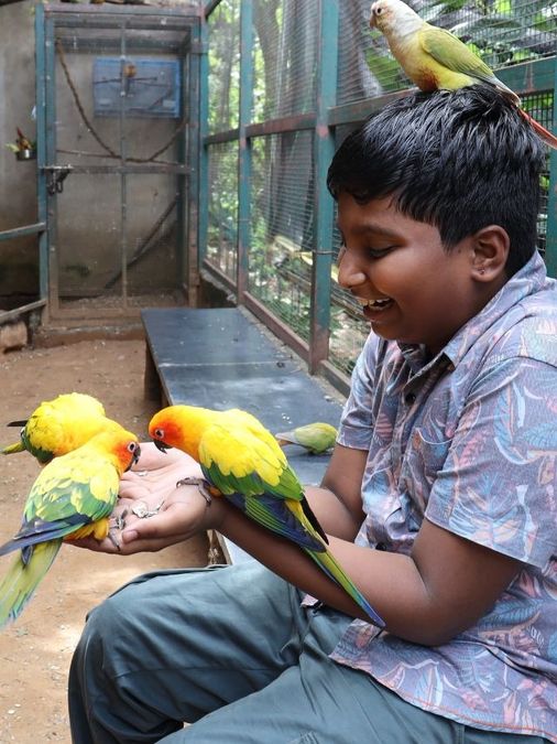 10 Methods to Educate Your Youngsters About Conservation in India